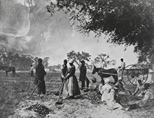 Hand Prints: Farm Workers