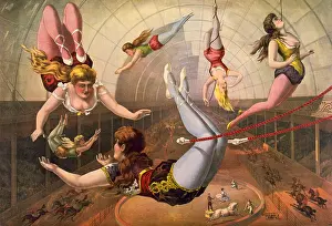 Prints of Entitled: 'Female acrobats on trapezes at circus.' A trapeze is a short horizontal bar hung by ropes or metal straps from a support : Female Circus Trapeze Acrobats, Vintage Illustration1890