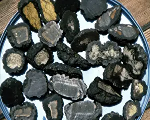 Mineral Prints: Ferromanganese Nodules