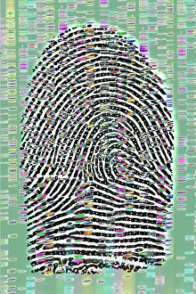 Security Prints: Fingerprint analysis