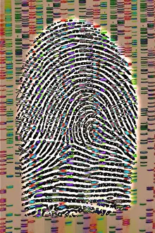 Security Prints: Fingerprint analysis