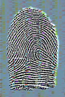Prints: Fingerprint analysis