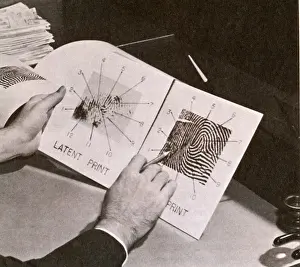 More Science & Medical Prints: Fingerprints