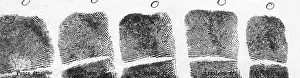 Record Prints: Fingerprints of Vincenzo Peruggia, Mona Lisa Thief