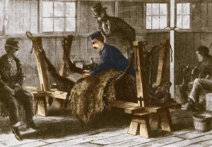 Cattle Prints: First Smallpox Vaccine, 1872