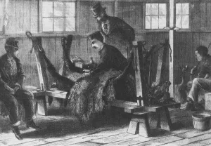 Cattle Prints: First Smallpox Vaccine, 1872