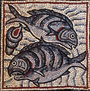 Roman Prints: Fish, Byzantine Mosaic, 6th Century