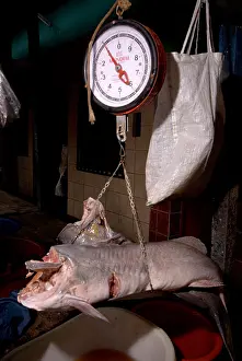 Scale Prints: Fish market, Peru