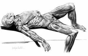 Monochrome Prints: Flayed Cadaver, 1779