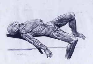 Monochrome Prints: A flayed cadaver