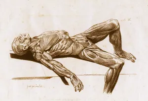 Monochrome Prints: A flayed cadaver