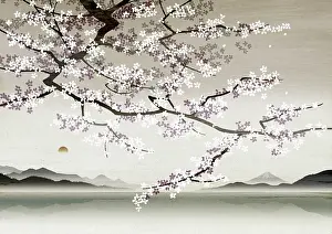 Horizontal Prints: Flower Blossom Tree Branches, In Japanese, Asian Landscape
1439218