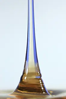 Corn Prints: Fluid Coiling Effect