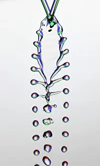 Collision Prints: Fluid Fishbone Effect