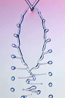 Nature, History, Science Prints: Fluid Fishbone Effect
