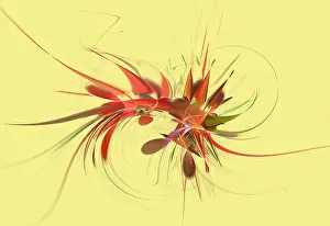Math Prints: Fractal Flame