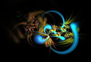 Math Prints: Fractal Flame