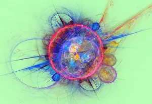 Math Prints: Fractal Flame