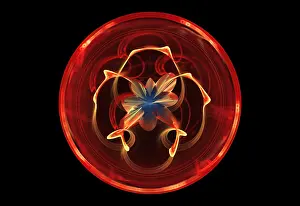 Math Prints: Fractal Flame