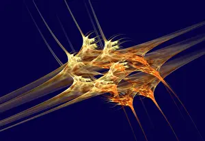 Math Prints: Fractal Flame