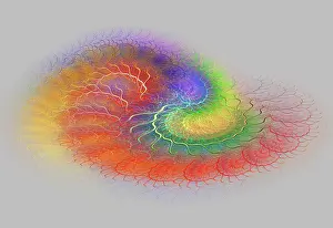 Math Prints: Fractal Flame
