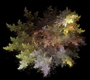 Form Prints: Fractal Flames