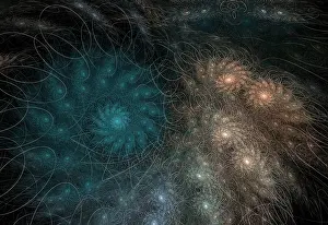 Form Prints: Fractal Flames