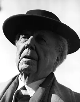 Architect Prints: Frank Lloyd Wright