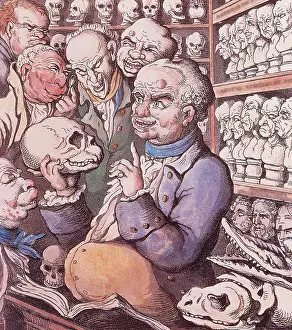 Bust Prints: Franz Josef Gall, German Phrenologist