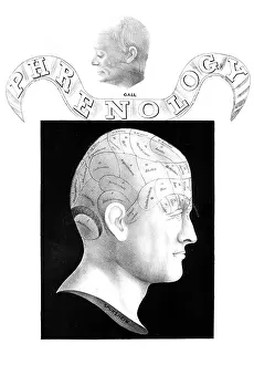 Neurological Prints: Franz Joseph Gall, German Phrenologist