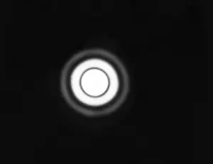 Distribution Prints: Fresnel Diffraction