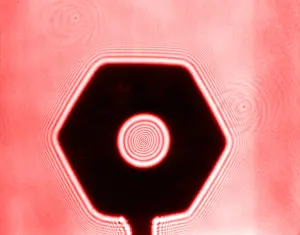 Radiation Prints: Fresnel Diffraction by Nut