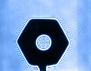 Radiation Prints: Fresnel Diffraction by Nut