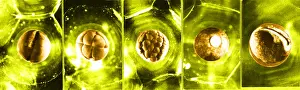 Late Prints: Frog Eggs