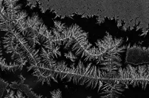 Design Prints: Frost Crystals