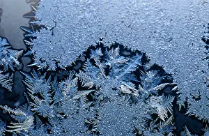 Crystal Prints: Frost Crystals