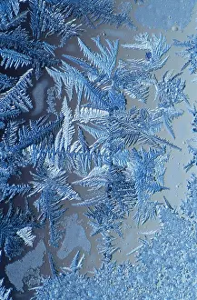 Crystal Prints: Frost Crystals