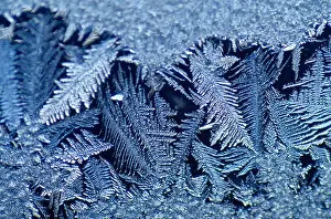 Crystal Prints: Frost Crystals