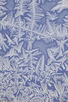 Pattern Prints: Frost on a Window
