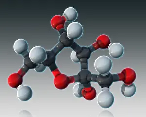Atomic Prints: Fructose, Molecular Model