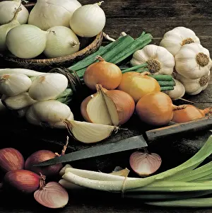 Bulb Prints: Garlic, Leeks and Onions