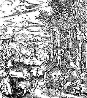 Magic Prints: Gathering Cinnamon Bark In India, 1579