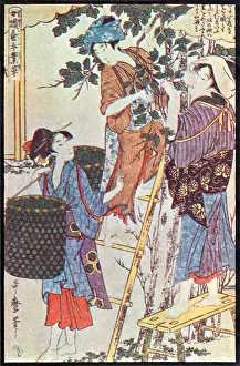 Textile Prints: Gathering Mulberry Leaves, Silk Making in Japan