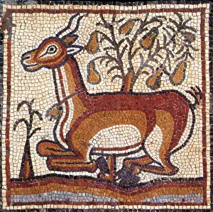 Mosaic Prints: Gazelle, Byzantine Mosaic, 6th Century