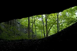 Nature Prints: General Davis Cave