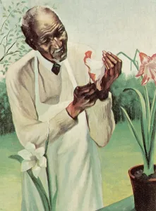 Best Sellers Part IV Prints: George W Carver, American Botanist, Black History