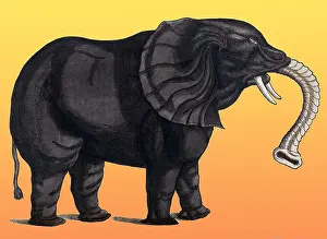 Zoology Prints: Gessner, Elephant, 16th Century