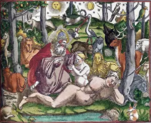 Garden Prints: Gessner, Garden of Eden, 16th Century