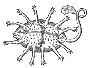 Serpent Prints: Gessner, Rubus, Legendary Sea Monster