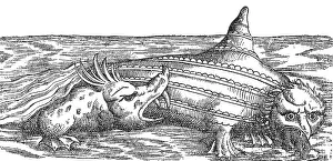 Attacks Prints: Gessner, Sea Monster Attacks Ziphius, 16th Century